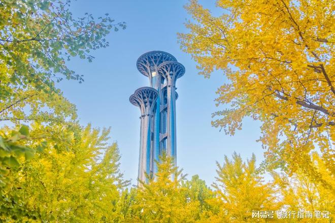 畅玩古都风韵邂逅三位口碑导游的匠心之旅pg模拟器电脑版北京自驾游导游推荐：(图4)